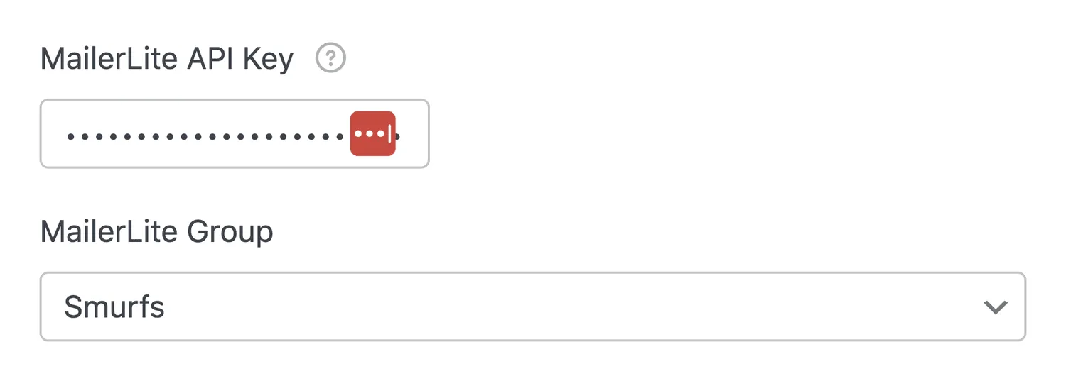 Masked API key with the group list already populated from MailerLite.